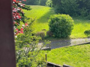 Pantahtreffen_2025