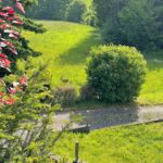 Pantahtreffen_2025