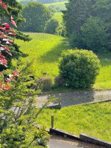 Pantahtreffen_2025