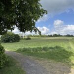 Pantahtreffen_2025